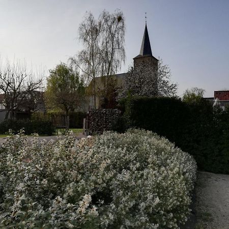 B&B 'T Huys Van Enaeme Ауденарде Экстерьер фото